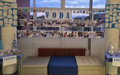 Projekt Voda